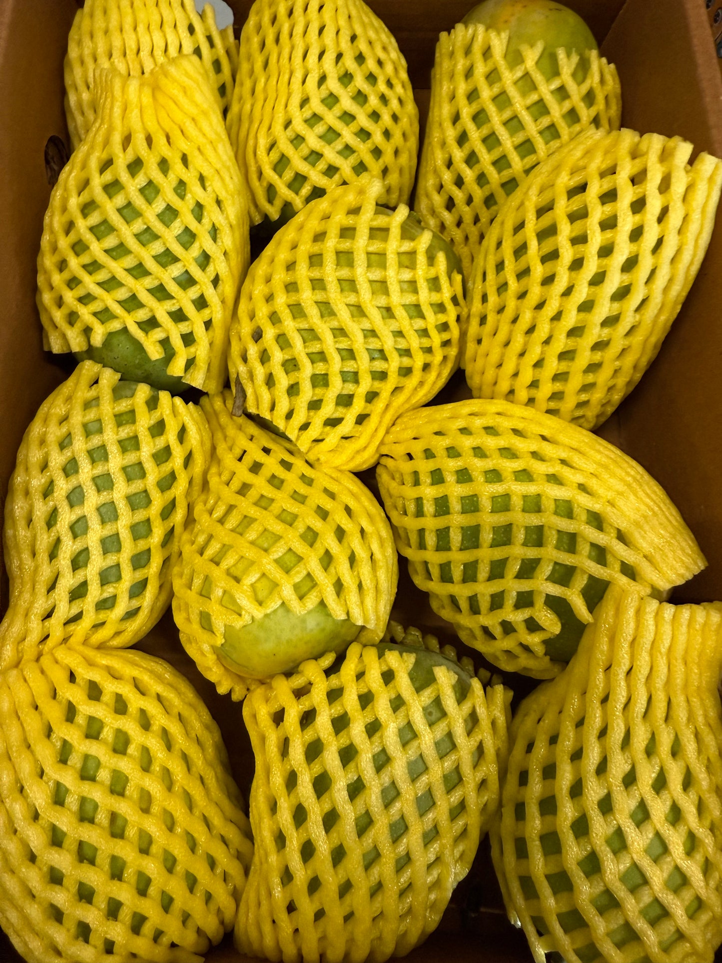 kesar mango