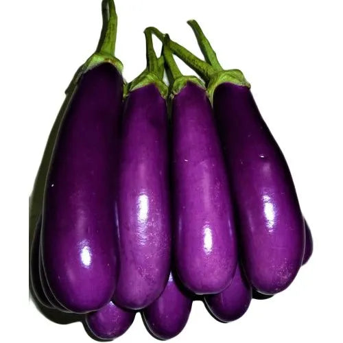 Indian Long Brinjal