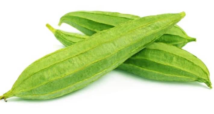 Ridge Gourd