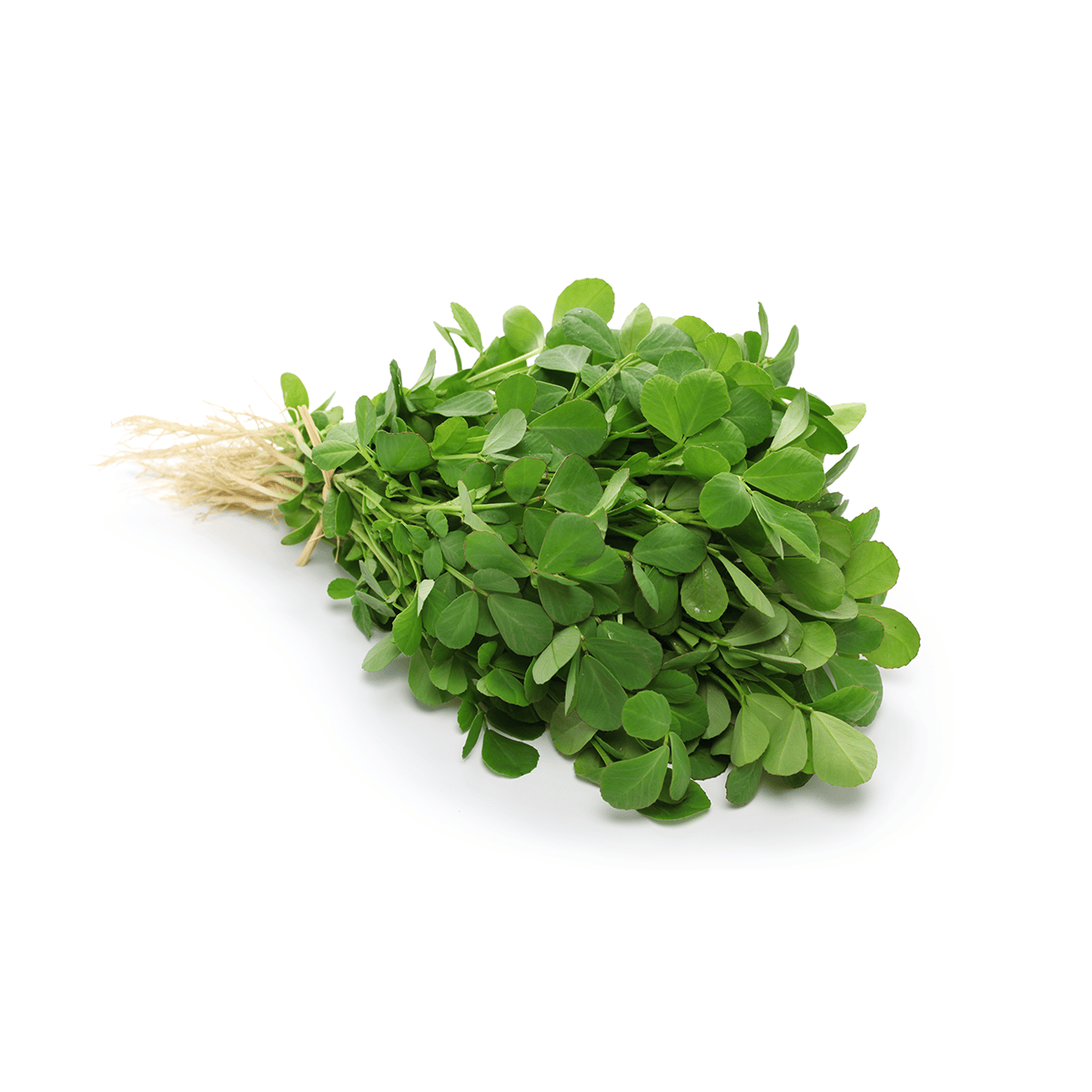 METHI LEAVES