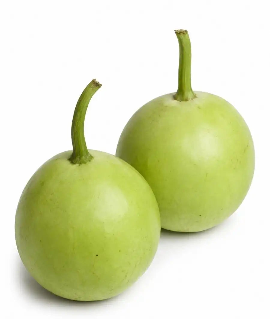 Bottle Gourd (Lauki)