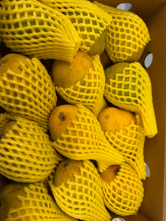 Alphanso mango