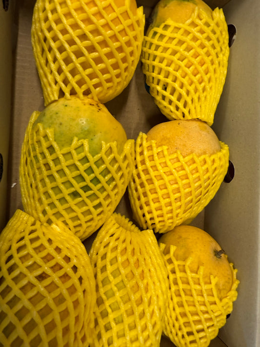 Banginapalli Mango