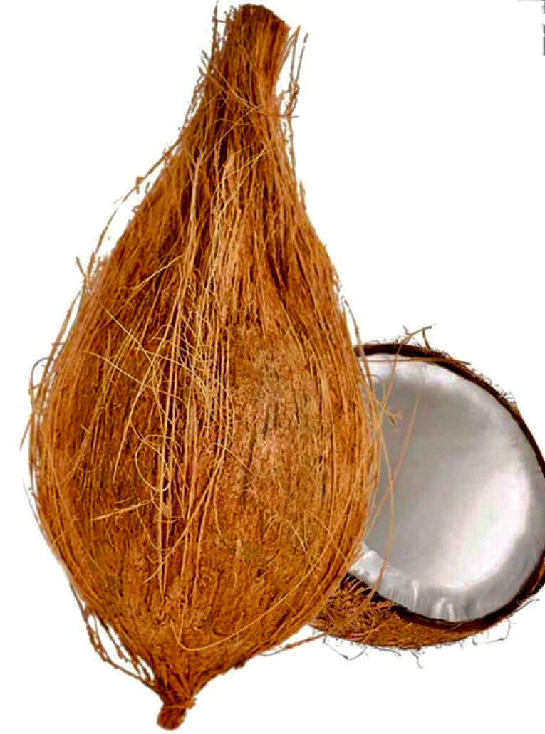Puja Coconut with husk (1 Piece)