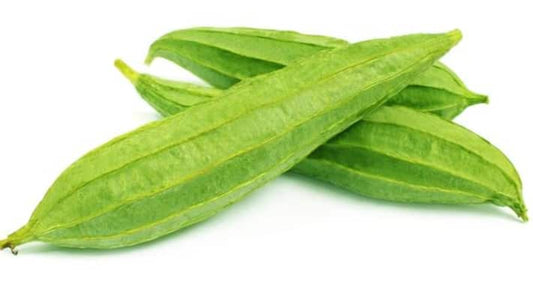 Ridge Gourd
