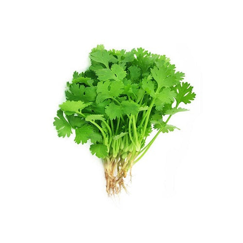 Fresh Coriander