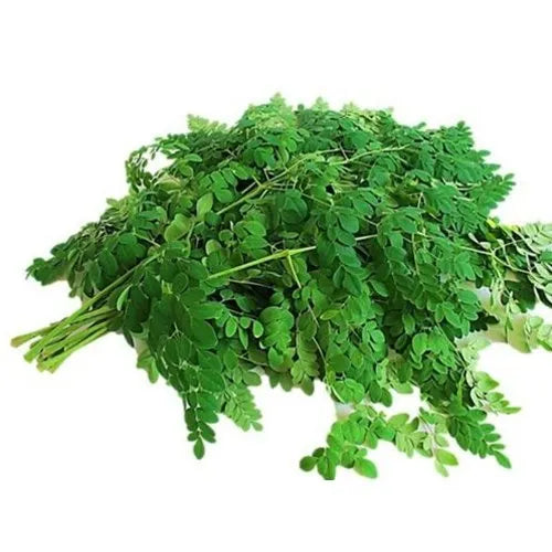 Drumstick/Moringa  Leaves ~100g