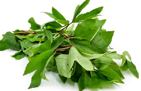Puntikura/Gongura (~200g)