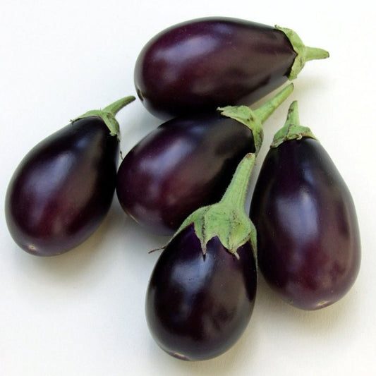 Indian SMALL Brinjal (Eggplant / Aubergine)